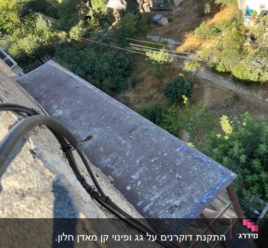 דוקרנים על גג למניעת נחיתת יונים